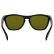 OAKLEY FROGSKING 24-298 OAKLEY FROGSKING 24-298