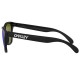 OAKLEY FROGSKING 24-298 OAKLEY FROGSKING 24-298
