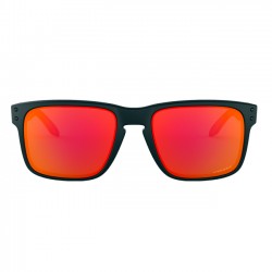 OAKLEY HOLBROOK OO9102-E255