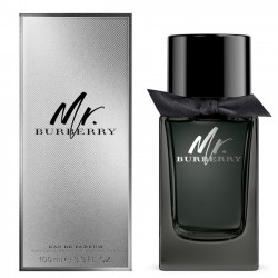 BURBERRY MR. BURBERRY EAU DE PARFUM 100ML 3.3